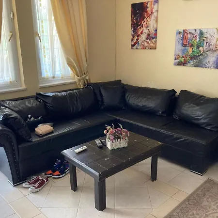 Mariner * フェティエ